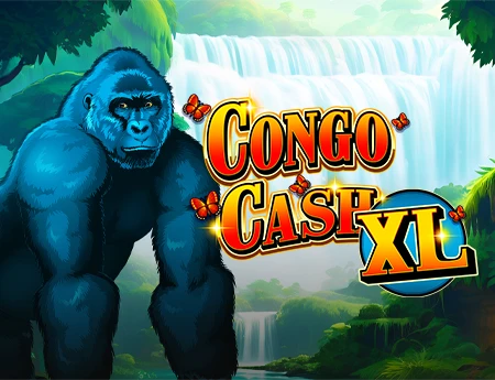 Congo Cash XL